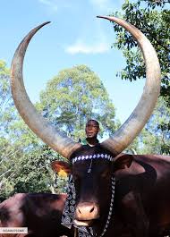 King’s Palace Cultural Experience