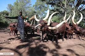 King’s Palace Cultural Experience