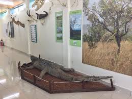 Environment Museum & Lake Kivu Experience